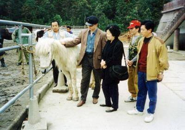 Bất ngờ số phận Bạch Long Mã sau 5 năm ròng phục vụ thầy trò Đường Tăng - 5 Dương Khiết trong lần tái ngộ chú ngựa trắng