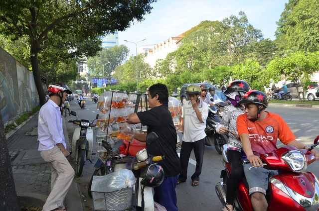 Cá chép tấp nập đi... lên trời - 16 Cá chép tấp nập đi... lên trời - 16