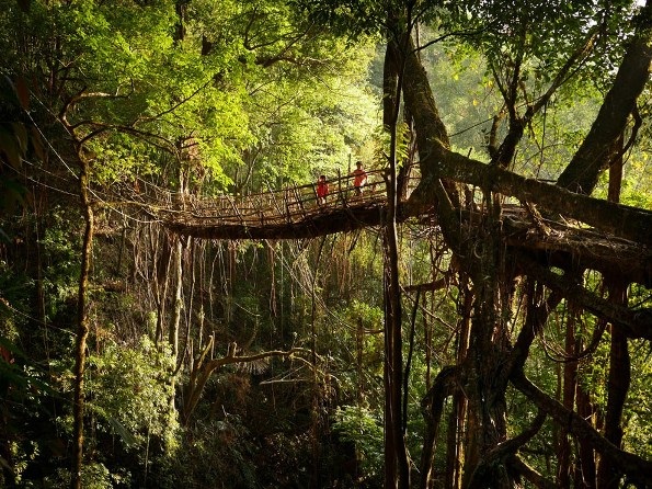 Đến thăm ngôi làng có lượng mưa nhiều nhất thế giới - 16 Đến thăm ngôi làng có lượng mưa nhiều nhất thế giới - 16