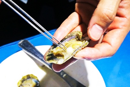 Nghề "chăm con mọn" ở đầm Nha Phu thu bạc triệu - 6 Nghề "chăm con mọn" ở đầm Nha Phu thu bạc triệu - 6
