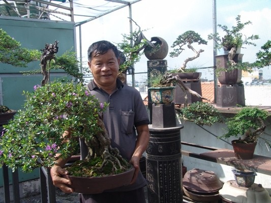 Cận cảnh: Lão nông Sài Gòn phù phép gốc "củi" thành cây cảnh nửa tỷ - 6
Một góc vườn linh sam núi của ông Thắng “đổ”.