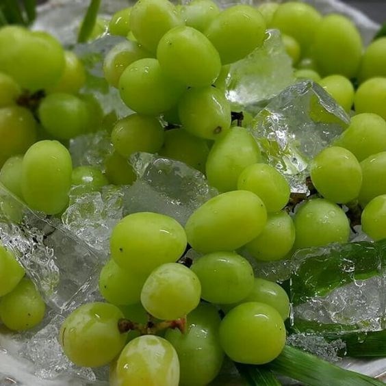 Hà thành sính đồ ngoại: Từ táo dại thâm xỉn đến nho lạ đắt vô địch - 9 Hà thành sính đồ ngoại: Từ táo dại thâm xỉn đến nho lạ đắt vô địch - 9