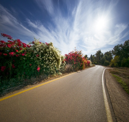 Du ngoạn “miền đất Thánh” - 1