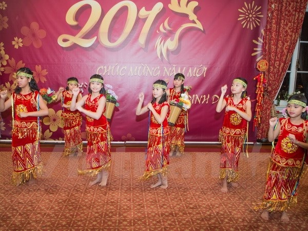 Đại sứ quán Việt Nam ở Hoa Kỳ tổ chức mừng Xuân cùng cộng đồng - 3