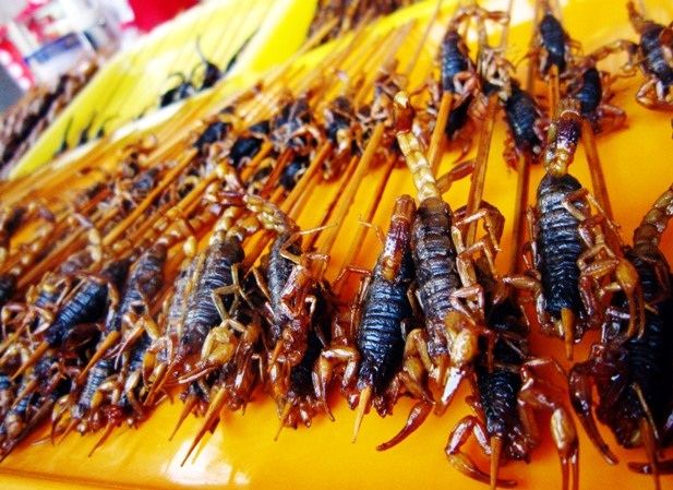 Những món ăn sởn tóc gáy ở chợ đêm Bắc Kinh - 2 Những món ăn sởn tóc gáy ở chợ đêm Bắc Kinh - 2