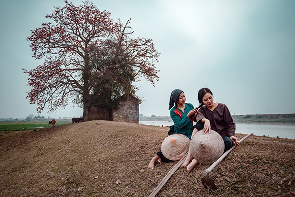 Hoa gạo trên cây đỏ rực như những đốm lửa. Hoa rụng xuống nhuộm đỏ cả một thềm đất.