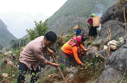 Người thầy cắm bản huyền thoại vĩnh viễn ra đi khi cứu người trong lũ - 4
Thầy Nguyễn đi làm nương cùng dân bản Lũng Mần.