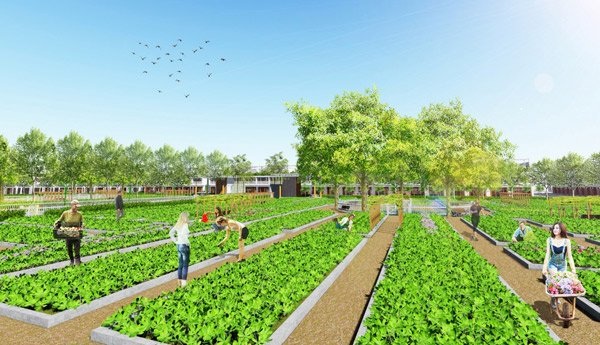 Nhà giàu ăn sạch: Bỏ gần 2 tỷ đồng mua đất tự trồng rau - 2
Dự án bán đất cho nhà giàu trồng rau