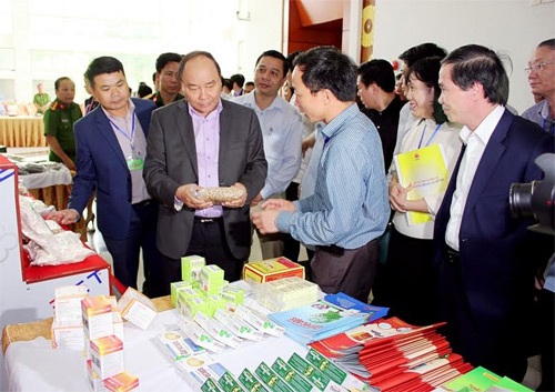 Bàn cách phát triển dược liệu Việt Nam quy mô toàn quốc - 3
Thủ tướng tham quan gian trưng bày dược liệu của Công ty CP Dược Trung ương Mediplantex