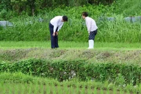 Đoàn hộ tống Thủ tướng Nhật cúi chào người dân nhường đường - 3 Thủ tướng Nhật Bản Shinzo Abe cúi đầu chào một nông dân khi đi thăm đồng ruộng. Hai tay ông chạm đầu gối, đầu ông cúi xuống thấp hơn người nông dân.