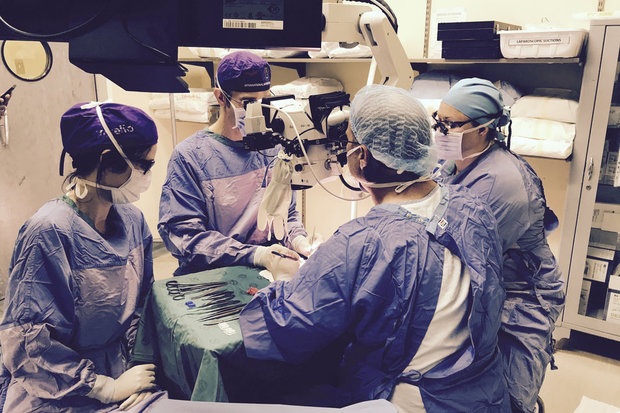 
Một người đàn ông Nam Phi vừa được cấy ghép của quý da trắng
