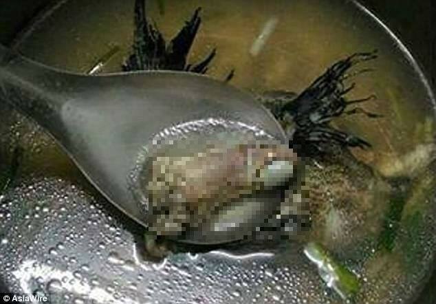 Đứng tim khi thấy “ngón tay người” trong bát canh cá - 1
Bức ảnh cô Li Jaqi đăng tải trên mạng xã hội.