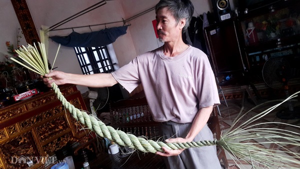 Nghề lạ ở Ninh Bình: Ngồi nhà tết đuôi trâu, kiếm chục triệu/tháng - 1 Nguyên liệu chính để làm đuôi trâu là thân các cây lúa tám thơm, loại lúa này sau khi được nông dân cấy được khoảng 45 ngày (lúa chưa trổ bông) sẽ được được doanh nghiệp thu mua, cắt về đem phơi, sấy khô và cung cấp cho bà con làm nghề.