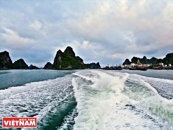 Đảo Cô Tô là điểm đến lý tưởng cho du khách khám phá vẻ hoang sơ - 2 Đảo Cô Tô là điểm đến lý tưởng cho du khách khám phá vẻ hoang sơ - 2