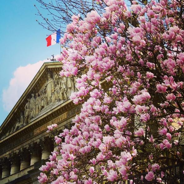 14 bức ảnh tuyệt đẹp khiến ai cũng phải si mê Paris - 2 14 bức ảnh tuyệt đẹp khiến ai cũng phải si mê Paris - 2