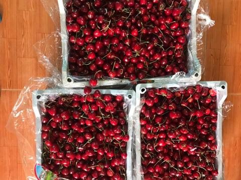 Cherry Trung Quốc giá rẻ bán công khai 120.000 đồng/kg - 3
Cherry bán giá lẻ 280.000 đồng/kg.