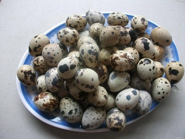Mẹo luộc trứng không cần nước, thơm ngon ngoài sức tưởng tượng - 1 Mẹo luộc trứng không cần nước, thơm ngon ngoài sức tưởng tượng - 1