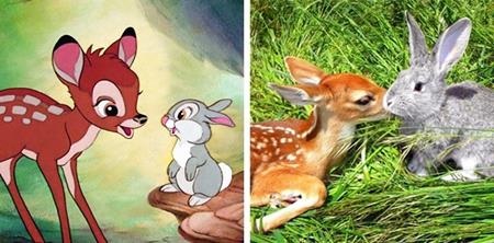 Tình bạn giữa nai và thỏ hóa ra không chỉ tồn tại trong bộ phim hoạt hình “Bambi” mà còn có cả trong thế giới động vật