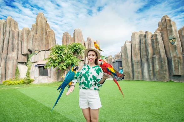 Du lịch Hè - Chọn nghỉ dưỡng hay trải nghiệm? - 2 Show trình diễn với những chú chim tuyệt đẹp