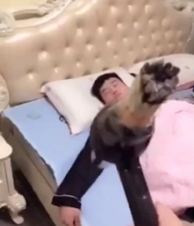 Chiêu "dằn mặt" chồng nghiện thuốc lá có một không hai của một bà vợ - 2 Thời điểm bị phả khói vào mặt, người chồng đang “say giấc nồng”