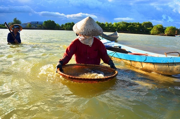 “Chồng cào, vợ đãi”... kiếm nửa triệu dưới đáy sông - 1 Hàng ngày, nhiều người dân ở huyện Tuy Phước, Bình Định lại chèo xuồng ra đoạn sông Hà Thanh để cào dắt.