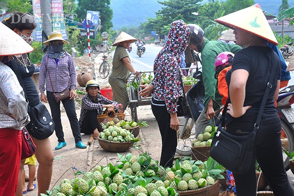 Nhộn nhịp chợ na cuối vụ ở "cổng trời" biên ải - 1 Nhộn nhịp chợ na cuối vụ ở "cổng trời" biên ải - 1