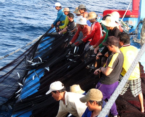Qua ngày tháng bĩ cực, lão ngư này giờ có 5 tàu to trị giá 60 tỉ đồng - 1 Các thuyền viên trên tàu của ngư dân Nguyễn Văn Ái đang đánh bắt xa bờ. Ảnh: Dũ Tuấn