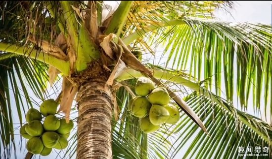 Những công việc kì quặc lại có mức lương cao không tưởng - 1 Những công việc kì quặc lại có mức lương cao không tưởng - 1