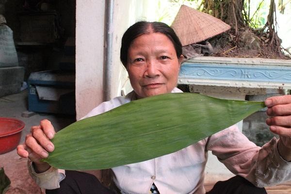 Chỉ "nhặt" lá tre cũng có tiền tỷ - 1
Lá tre mà cơ sở của chị Đặng Thị Triệu thu mua lấy từ cây tre Bát Độ với chiều dài 45cm, chiều ngang 10cm.