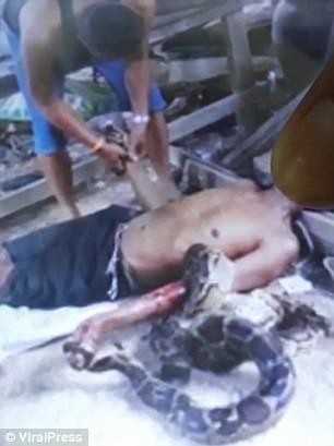 Thái Lan: Bắt trăn khủng về nuôi, hôm sau bị siết tới chết - 1 Sawan bị con trăn siết tới chết.