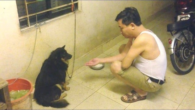 Hình ảnh bố sau khi say về nhà đòi bắt tay với con chó của một cư dân mạng khiến nhiều người phì cười.