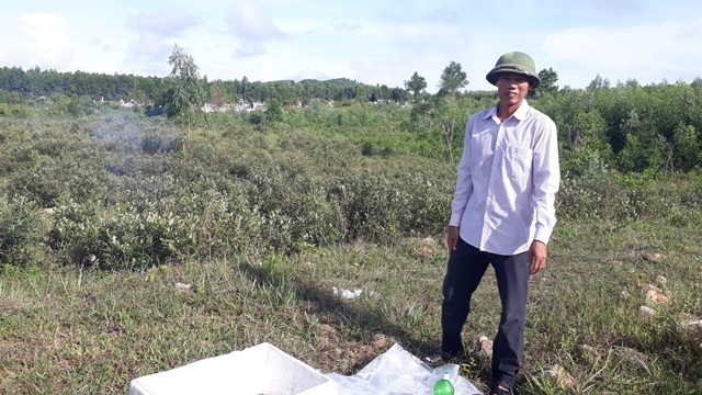 Bị gọi là "điên" khi trồng sim dại, mới đầu vụ đã thu 2 triệu đồng/ngày - 7
Ông chủ vườn sim 2 ha Phan Thanh Nhàn rất tự tin vào tương lai của vườn sim (Ảnh: Phan Phương)