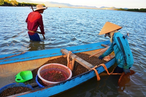 “Chồng cào, vợ đãi”... kiếm nửa triệu dưới đáy sông - 7 “Chồng cào, vợ đãi”... kiếm nửa triệu dưới đáy sông - 7