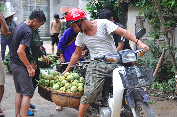 Nhộn nhịp chợ na cuối vụ ở "cổng trời" biên ải - 7 Nhộn nhịp chợ na cuối vụ ở "cổng trời" biên ải - 7