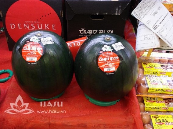 Kim cương, siêu xe hạng sang không là gì với những siêu đặc sản này - 7 Kim cương, siêu xe hạng sang không là gì với những siêu đặc sản này - 7