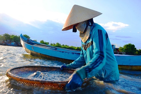 “Chồng cào, vợ đãi”... kiếm nửa triệu dưới đáy sông - 8 “Chồng cào, vợ đãi”... kiếm nửa triệu dưới đáy sông - 8