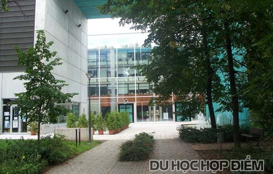 Du học Y-Nha-Dược: Cơ hội trở thành bác sĩ tại châu Âu mà không lo chi phí - 3 Du học Y-Nha-Dược: Cơ hội trở thành bác sĩ tại châu Âu mà không lo chi phí - 3