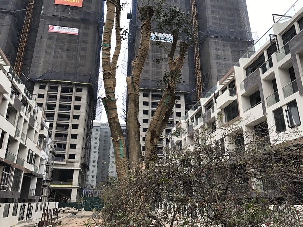 Dự án Mon City chính thức cất nóc - 3 Dự án Mon City chính thức cất nóc - 3
