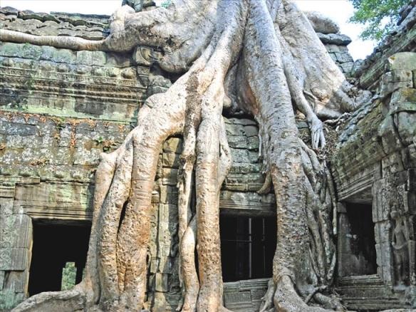 Những lý do khiến du khách say mê đền Angkor Wat - 3 Những lý do khiến du khách say mê đền Angkor Wat - 3