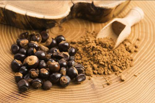 Chiết xuất hạt tự nhiên khơi dậy tinh thần làm việc hứng khởi - 3 Ở Brazil, hạt Guarana được rang, giã nát rồi sấy khô và bỏ vào trà để chống lại cơn mệt mỏi và trị tiêu chảy.