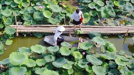 Chủ hồ sen mở dịch vụ thuê áo yếm, trang điểm thu bộn tiền - 4
Để có được những hình ảnh đẹp và ấn tượng, các bạn trẻ vẫn sẵn lòng chi ra 50 nghìn đồng/lần thuê thuyền tôn đi trên mặt hồ.