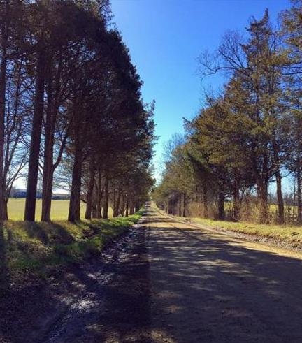 Khám phá sân golf yêu thích của tổng thống Donald Trump - 3 Khám phá sân golf yêu thích của tổng thống Donald Trump - 3