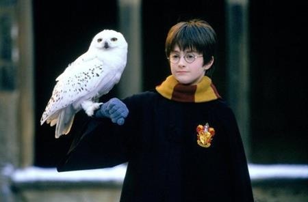Tên tuổi của Daniel Radcliffe luôn gắn liền với vai diễn cậu bé phù thủy Harry Potter trong loạt phim đình đám cùng tên. Đáng yêu, dũng cảm, gần gũi, Harry Potter của Daniel Radcliffe quả thực như bước ra từ trong những trang sách mà J.K. Rowling miêu tả.