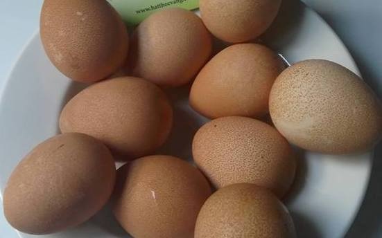 Đàn gà sao vạn con, "đẻ" lãi 3 tỷ đồng/năm - 4
Nhờ nuôi loại gà sao này mà trang trại của anh Hòa liên kết với nông dân có thể thu lãi tới gần 3 tỷ đồng/năm từ tiền bán gà thương phẩm và bán trứng