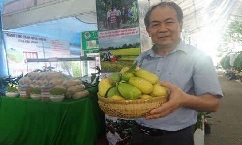 Mít dài cả mét, chuối nặng 1kg: Không dám ăn 1 mình - 4 
Giống chanh “lạ” dài như quả cà tím.