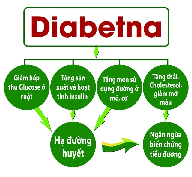 Cơ chế tác động của sản phẩm dành cho người tiểu đường do công ty Nam Dược sản xuất
