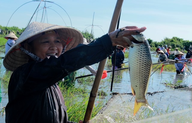 Hàng trăm người đội nắng tham gia lễ hội đánh cá cầu may độc đáo - 13 Hàng trăm người đội nắng tham gia lễ hội đánh cá cầu may độc đáo - 13
