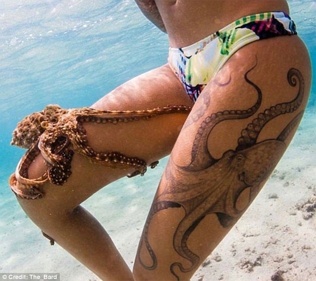 Những bức ảnh trùng hợp tình cờ đầy thú vị - 4