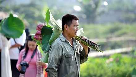 Chủ hồ sen mở dịch vụ thuê áo yếm, trang điểm thu bộn tiền - 5
Và tất nhiên không thể thiếu trên tay bó sen thơm ngát hương với giá khoảng 70 nghìn đồng/bó.
