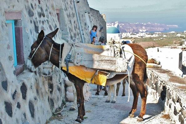 Những bức ảnh chứng minh Santorini đẹp hơn một giấc mơ - 4 Những bức ảnh chứng minh Santorini đẹp hơn một giấc mơ - 4
